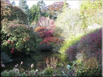 Gartengestaltung